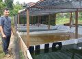 Sosok Guru Pesantren As’ad Jambi Rintis Usaha Jual Benih Ikan Gurame Soang