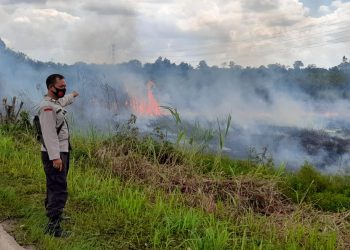 Lahan Kosong Terbakar, Kapolsek Maro Sebo Gerak Cepat Lakukan Pemadaman