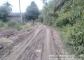 Rusak Jalan Aset Desa Oleh Oknum Pemain PETI, Ketua Karang Taruna Telentam Beni Rustandi, Akan Bawa Ke Jalur Hukum