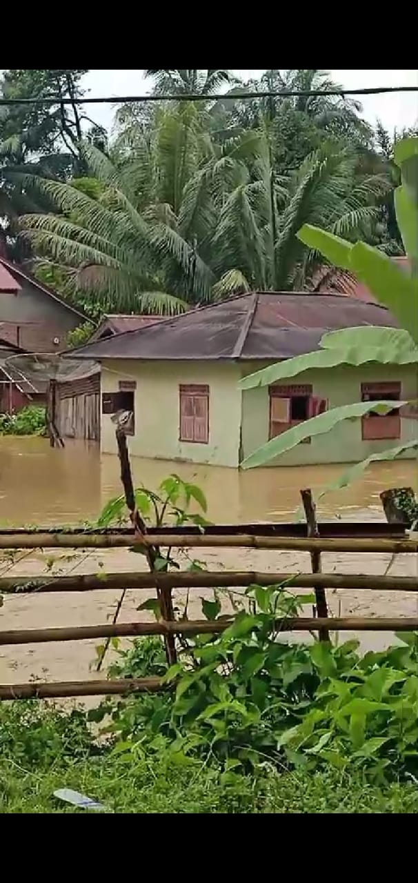 Pangkalan Jambu Terendam Banjir, Pj Bupati Merangin Perintahkan BPBD Turun Lokasi