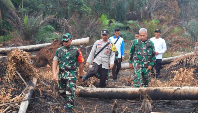 Dandim 0419/Tanjab Cek Lokasi Karhutla, Ajak Masyarakat Bersama-sama Jaga Hutan dan Lahan
