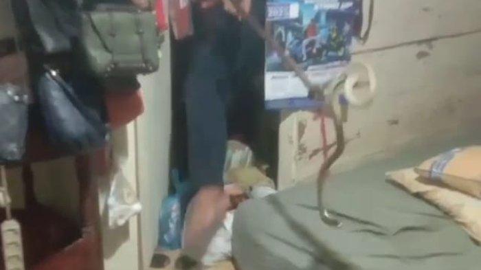 Polsek Jelutung Gelar Rekonstruksi Kasus Pembunuhan Pakai Sianida, Tersangka Peragakan 29 Adegan