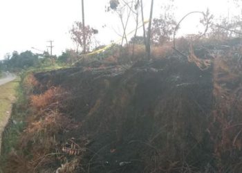 Polisi Ungkap Pelaku Pembakaran Lahan di Depan Kantor Polsek Bangko Mengidap Gangguan Kejiwaan