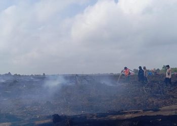 Selidiki Penyebab Karhutla di Muaro Jambi, Polda Jambi Periksa 18 Orang Saksi