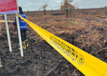 Pohon Besar di Pinggir Jalan Lintas Desa Kota Baru Tumbang, Timpa Warung Warga