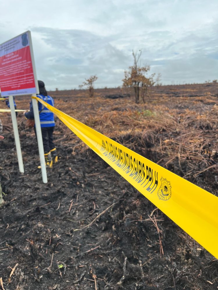 Pohon Besar di Pinggir Jalan Lintas Desa Kota Baru Tumbang, Timpa Warung Warga