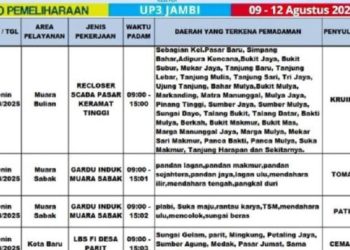 Sejumlah Wilayah di Jambi Terdampak Pemadaman Listrik, Berikut Daftarnya