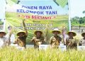 Bupati BBS Ikut Panen Raya Perdana Padi di Desa Pudak