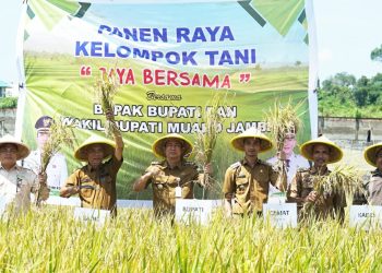 Bupati BBS Ikut Panen Raya Perdana Padi di Desa Pudak