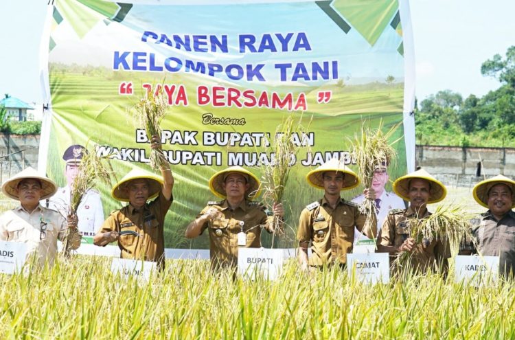 Bupati BBS Ikut Panen Raya Perdana Padi di Desa Pudak