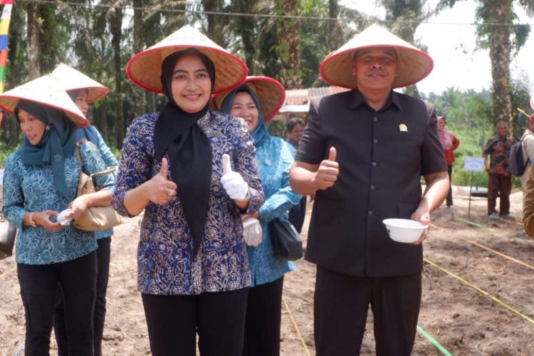 Ketua TP PKK Kabupaten Muaro Jambi Ririn Novianty, SE Mengikuti Kegiatan Penanaman Jagung 1 Hektar 1 Desa