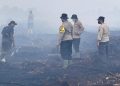 Ditreskrimsus Polda Jambi Periksa 18 Saksi Kasus Kebakaran Lahan Gambut di Muaro Jambi