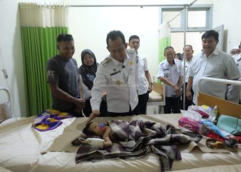 Berkat Gubernur Al Haris, Provinsi Jambi Berhasil Dapatkan Pengampuan KJSU dari Kemenkes