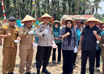Polres Muaro Jambi Dukung Program Ketahanan Pangan, Waka Polres Hadiri Penanaman Jagung di Desa Suko Awin Jaya