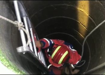 Damkar Selamatkan Anak Kambing yang Tercebur Sumur Sedalam 6 Meter