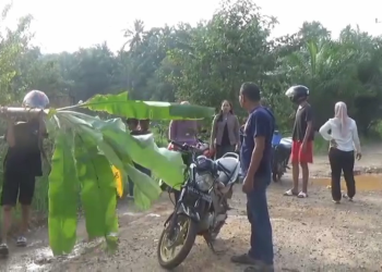 Protes Jalan Rusak, Warga Muara Bulian Tanam Pohon Pisang di Tengah Jalan