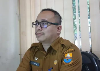 14 Ekor Sapi di Bungo Mati Mendadak, Warga Duga Diracun Pemilik Kebun Sawit