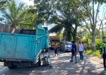 2 Truk Alami Kecelakaan di Jalan Desa Lopak Aur, Batanghari