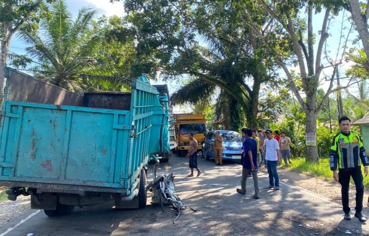 2 Truk Alami Kecelakaan di Jalan Desa Lopak Aur, Batanghari