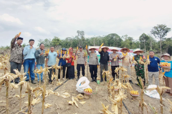 Sinergi Polri, Pemerintah, dan Masyarakat: Panen Jagung Kuartal III Sukses Digelar di Desa Danau Sarang Elang