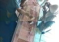 Pemusnahan Barang Bukti 58 Perkara Di Kejaksaan Negeri Muaro Jambi