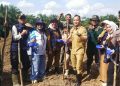 Polres Bungo Ungkap 8 Kasus Penyalahgunaan Narkotika Selama Operasi Antik Siginjai 2025