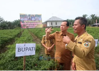 Matangkan Persiapan, Kakanwil Kemenkum Jambi Pimpin Rapat Persiapan Pelaksanaan Diskusi Strategi Kebijakan