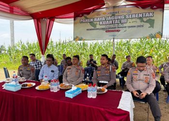 Waka Polres Muaro Jambi Kompol Deni Mulyadi S.E di Dampingi kapolsek Mestong AKP Jabidi SH Kegiatan zoom meeting Serentak Panen Raya Jagung Kuartal III Di Desa Sebapo