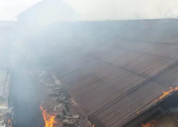 Satlantas Polres Muaro Jambi Tertibkan Antrian Truk Solar yang Ganggu Lalu Lintas