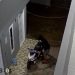 Polsek Kota Baru Tangkap Pelaku Curanmor di Pematang Gajah