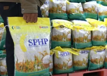 Bulog Jambi Salurkan 11.085 Ton Beras SPHP, Jaga Stabilitas Harga Pasar