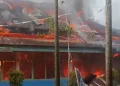 Pemkab Tebo Targetkan 3 Kali Panen Padi Dalam Setahun
