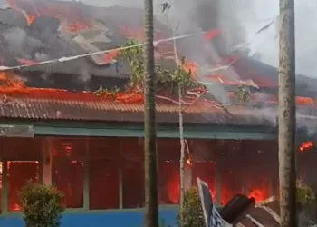 Pemkab Tebo Targetkan 3 Kali Panen Padi Dalam Setahun