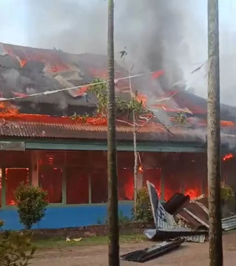 Pemkab Tebo Targetkan 3 Kali Panen Padi Dalam Setahun