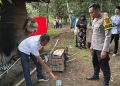 3 Truk Alami Kecelakaan Beruntun di Pintu Gerbang Tol Pijoan, 2 Orang Terluka