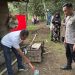 3 Truk Alami Kecelakaan Beruntun di Pintu Gerbang Tol Pijoan, 2 Orang Terluka
