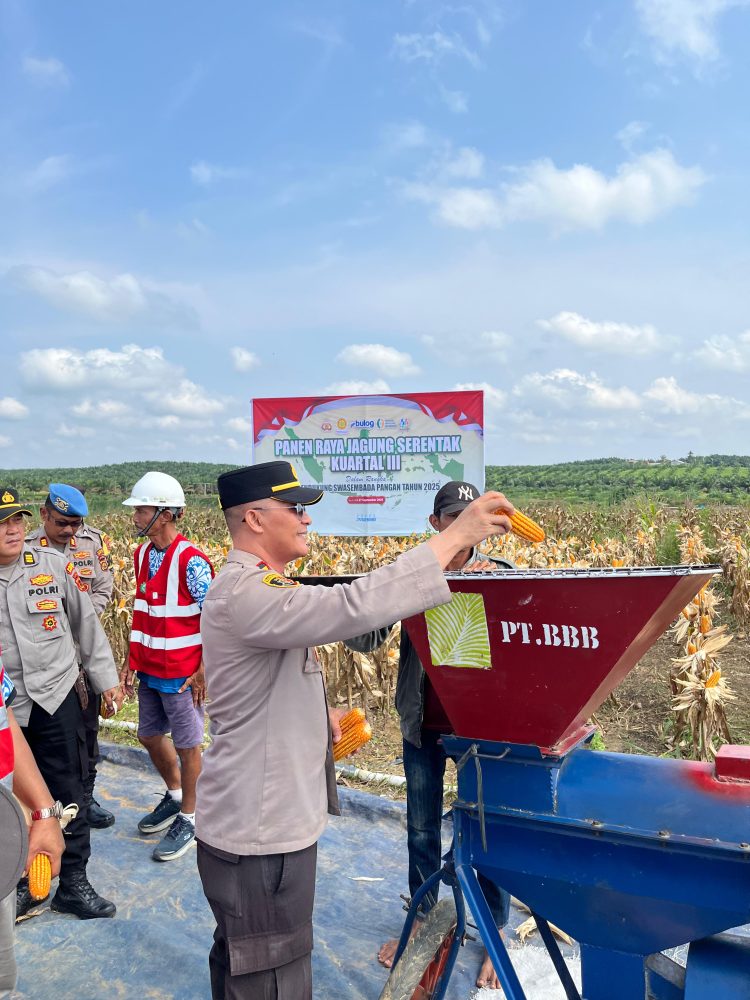 Kapolsek Sekernan AKP Taroni Zebua SH, MH Hadiri Panen Raya Jagung Serentak Kuartal III Tahun 2025 di PT. BRAHMA Desa Suko Awin Jaya