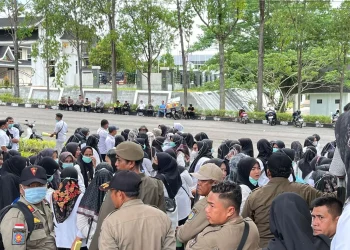 Ratusan Bidan Desa Tebo Unjuk Rasa, Pemerintah Daerah Belum Bisa Angkat Jadi PPPK