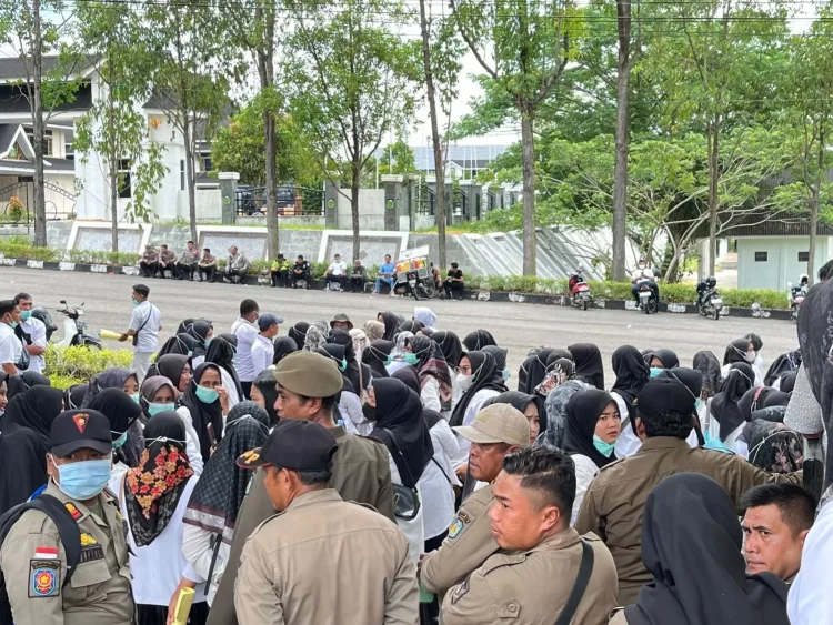 Ratusan Bidan Desa Tebo Unjuk Rasa, Pemerintah Daerah Belum Bisa Angkat Jadi PPPK