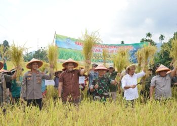 Satlantas Polres Muaro Jambi Tertibkan Antrian Truk Solar yang Ganggu Lalu Lintas