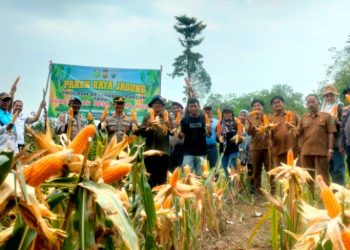 Pastikan Kesiapan Personel Ops Antik Siginjai 2025 Polda Jambi Gelar Apel Pagi