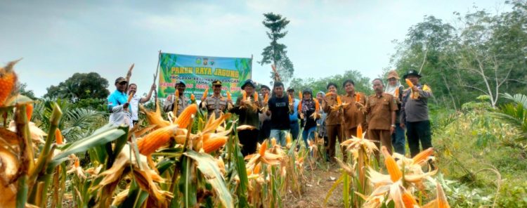 Pastikan Kesiapan Personel Ops Antik Siginjai 2025 Polda Jambi Gelar Apel Pagi