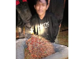 Seorang Pria Asal Desa Tuo Ilir Kepergok Maling Sawit di Kebun Warga