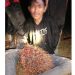 Seorang Pria Asal Desa Tuo Ilir Kepergok Maling Sawit di Kebun Warga