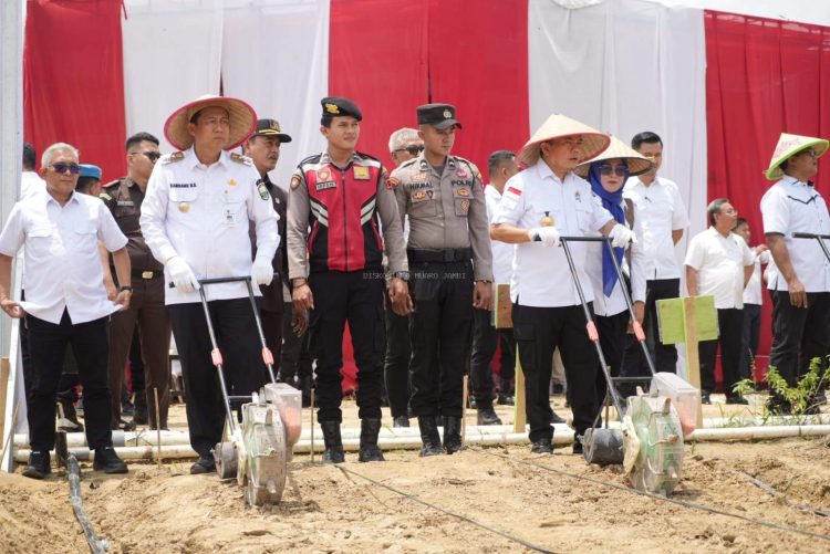 Bupati Muaro Jambi Dr. Bambang Bayu Suseno, SP. MM. M.Si Hadiri Kegiatan Penanaman Jagung Serentak Kuartal IV Tahun 2025