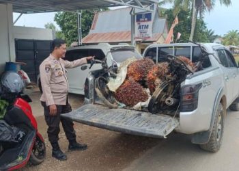 Geram! 2 Unit Sepeda Motor Pelaku Pencurian Sawit Dibakar Warga Danau Embat