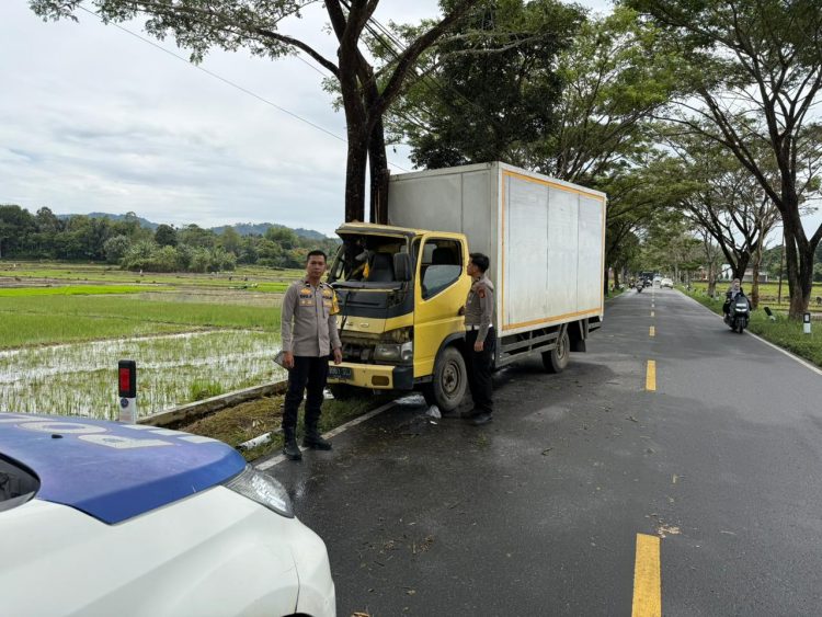 Sopir Truk Ngantuk, Mobil Tabrak Pohon di Jalan Lintas Desa Sanggaran Agung