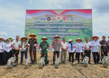 Dukung Program Swasembada Pangan, Kapolda Jambi, Gubernur dan Instansi Terkait Gelar Penanaman Jagung Serentak Kuartal IV