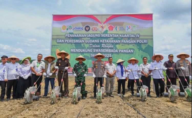 Dukung Program Swasembada Pangan, Kapolda Jambi, Gubernur dan Instansi Terkait Gelar Penanaman Jagung Serentak Kuartal IV