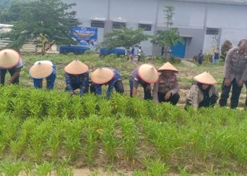 Satu Hati untuk Negeri, Polda Jambi Tanamkan Nilai Kebangsaan di SMAN 4 Kota Jambi